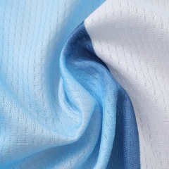 2026 FIFA World Cup Argentina home Long sleeved Fan version