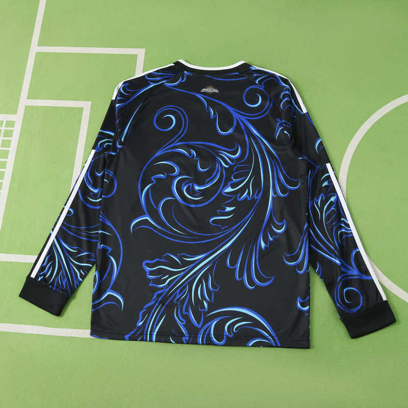 2026 FIFA World Cup Argentina away Long sleeved Fan version