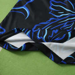 2026 FIFA World Cup Argentina away Long sleeved Fan version