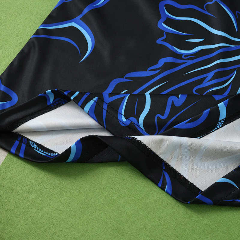 2026 FIFA World Cup Argentina away Long sleeved Fan version