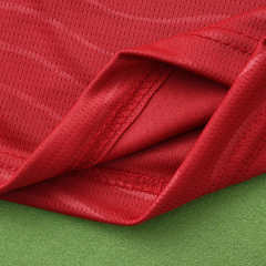 2026 FIFA World Cup Portugal home Long sleeved Fan version