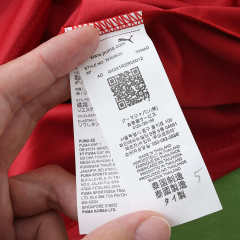 2026 FIFA World Cup Portugal home Long sleeved Fan version