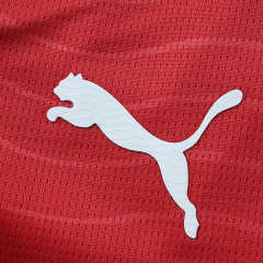 2026 FIFA World Cup Portugal home Long sleeved Fan version