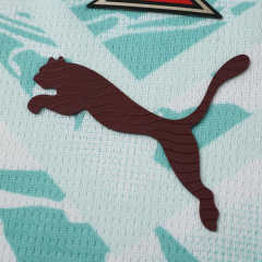 2026 FIFA World Cup Portugal away Long sleeved Fan version
