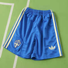 2026 season Sweden away Kids kit + free socks