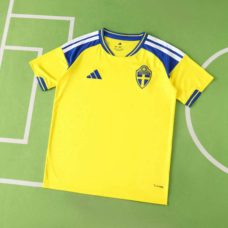 2026 FIFA World Cup Sweden home Fan version