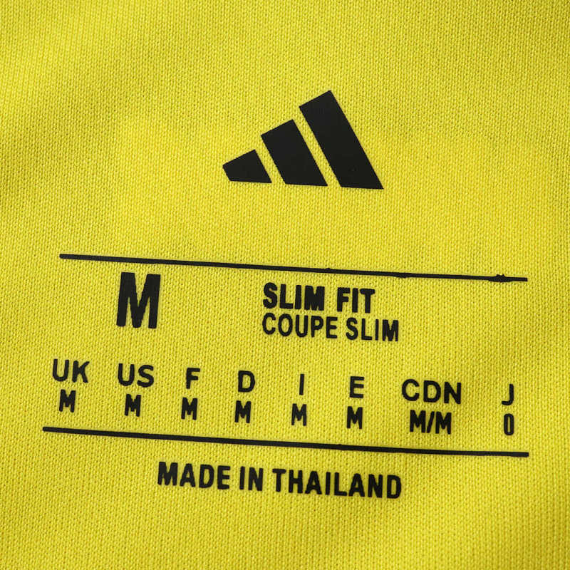 2026 FIFA World Cup Sweden home Fan version