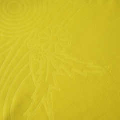 2026 FIFA World Cup Sweden home Fan version