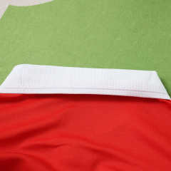150th anniversary Wales Long sleeved Fan version