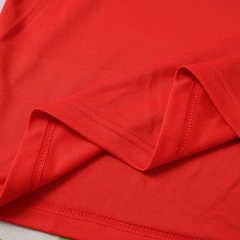 150th anniversary Wales Long sleeved Fan version