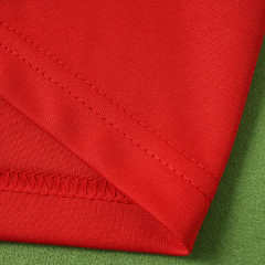 150th anniversary Wales Long sleeved Fan version