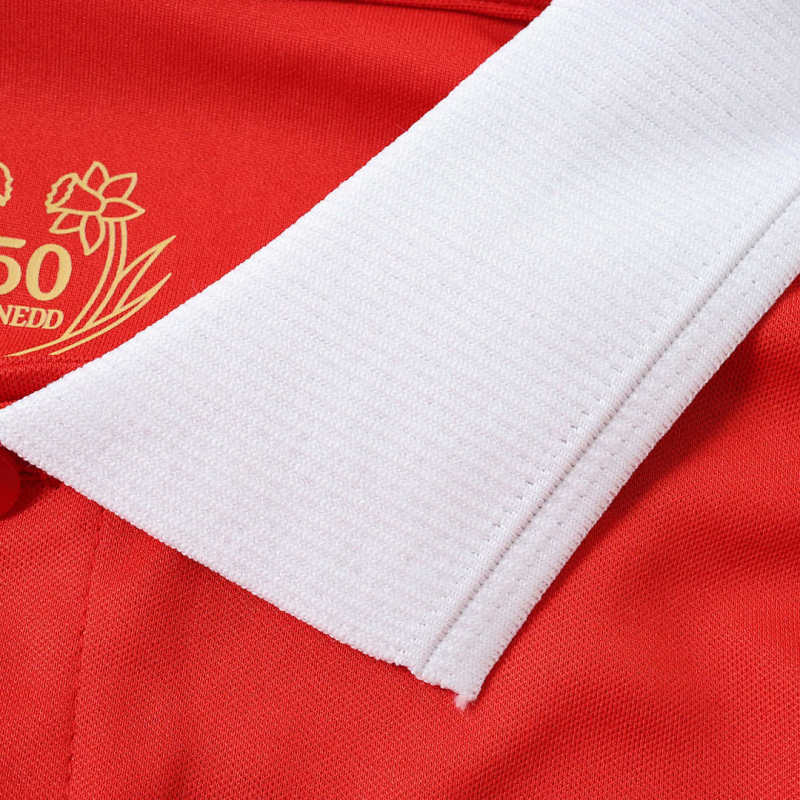 150th anniversary Wales Long sleeved Fan version