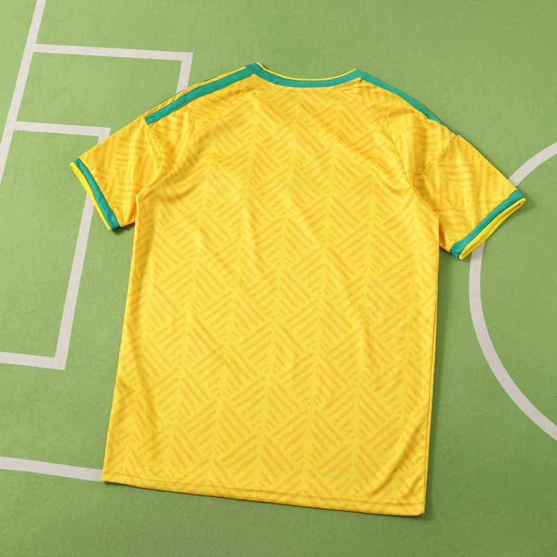 2026 FIFA World Cup South Africa home Fan version