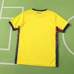 2026 FIFA World Cup Ecuador home Fan version
