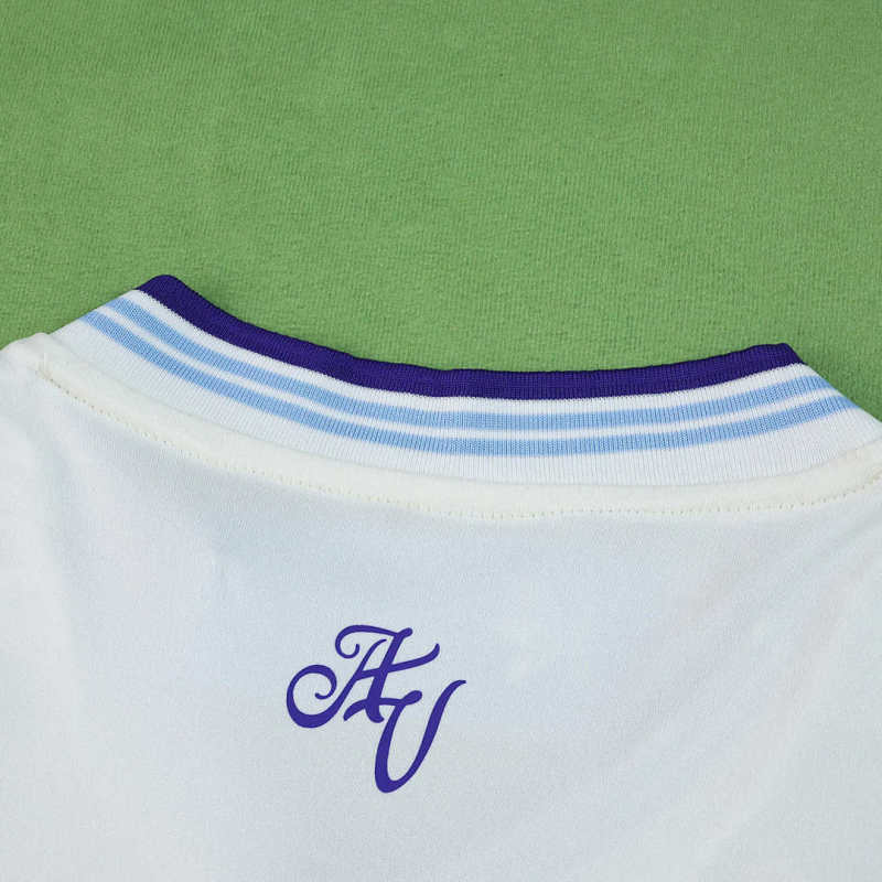 2526 season Aston Villa F.C. third Fan version