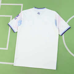 2526 season Aston Villa F.C. third Fan version