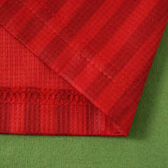 2627 season Fußball-Club Bayern München home Fan version