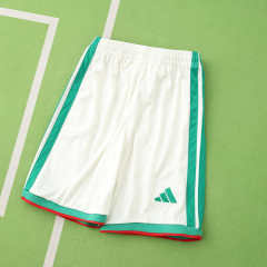 2026 FIFA World Cup Algeria home Kids kit + free socks