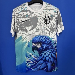 2026 Brazil Special fan version