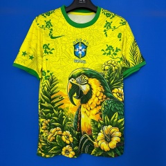 2026 Brazil Special fan version