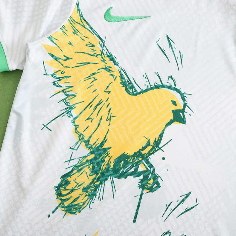 2024 Brazil Special fan version