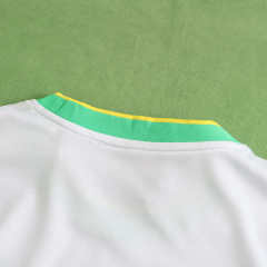 2024 Brazil Special fan version