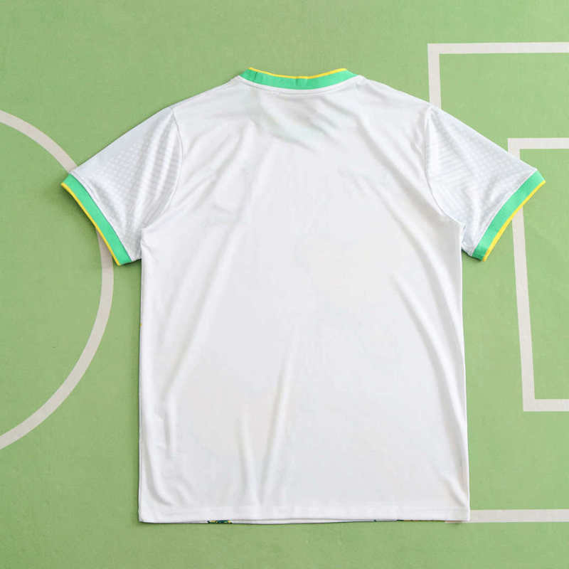 2024 Brazil Special fan version