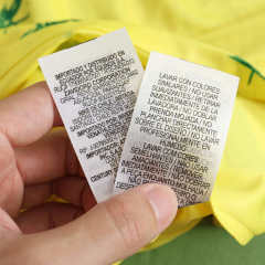 2024 Brazil Special fan version
