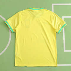 2024 Brazil Special fan version