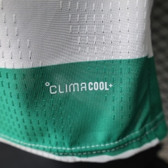 2627 season The Celtic Football Club home Player version