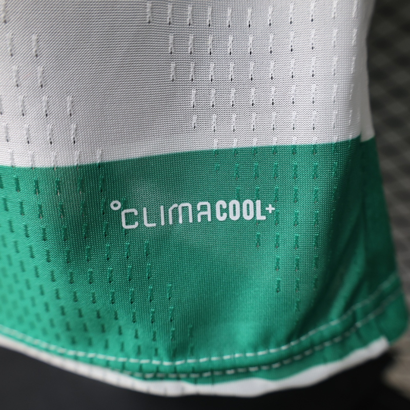 2627 season The Celtic Football Club home Player version
