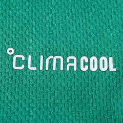 2627 season The Celtic Football Club home Fan version