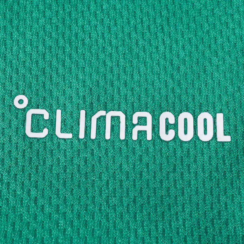 2627 season The Celtic Football Club home Fan version