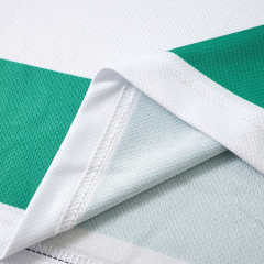 2627 season The Celtic Football Club home Fan version