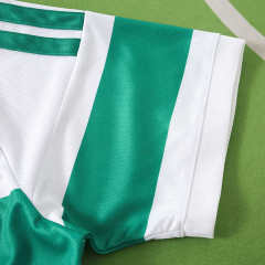 2627 season The Celtic Football Club home Fan version