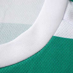2627 season The Celtic Football Club home Fan version