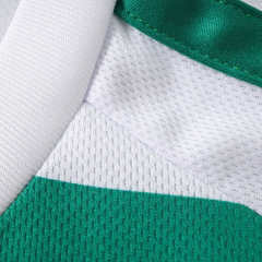 2627 season The Celtic Football Club home Fan version