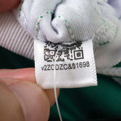 2627 season The Celtic Football Club home Fan version