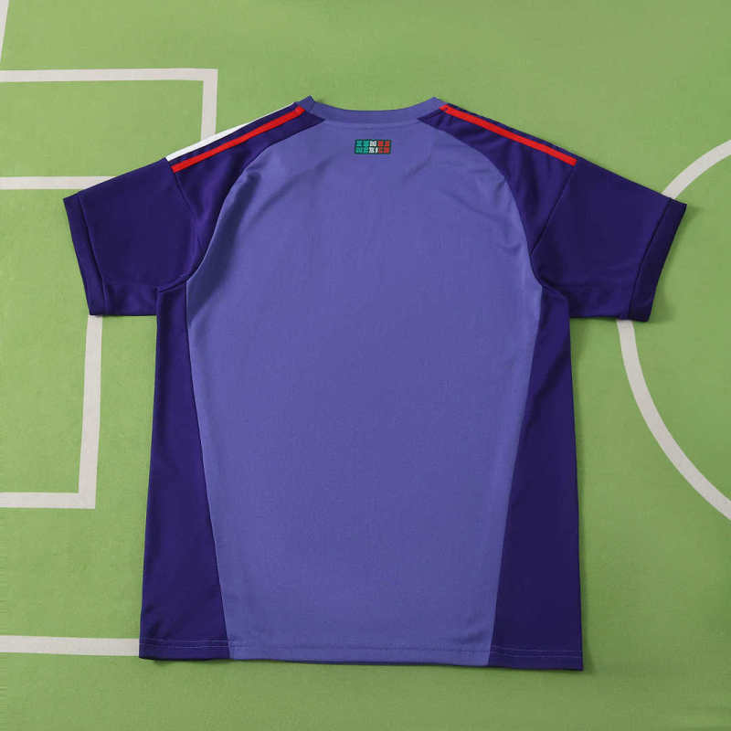 2026 FIFA World Cup Mexico goalkeeper Fan version