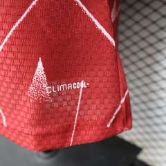 2627 season Liverpool F.C. home Player version