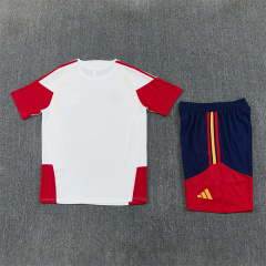 2026 FIFA World Cup Spain Training clothes suit Short sleeve Fan version