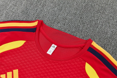 2026 FIFA World Cup Spain Training clothes suit Short sleeve Fan version