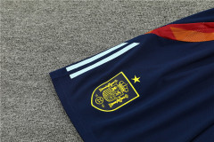 2026 FIFA World Cup Spain Training clothes suit Short sleeve Fan version
