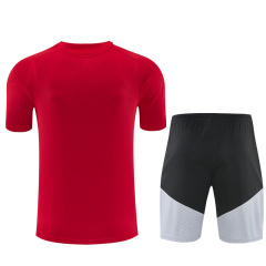 2026 FIFA World Cup Spain Training clothes suit Short sleeve Fan version