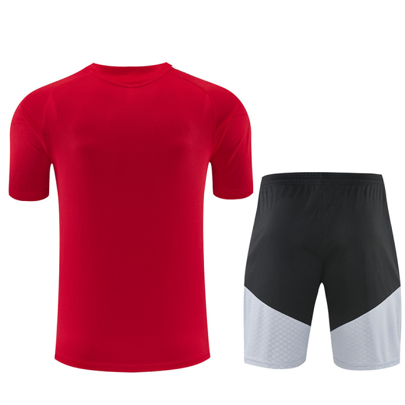 2026 FIFA World Cup Spain Training clothes suit Short sleeve Fan version