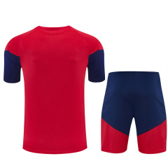 2026 FIFA World Cup Spain Training clothes suit Short sleeve Fan version