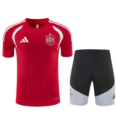 2026 FIFA World Cup Spain Training clothes suit Short sleeve Fan version