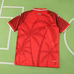 2026 FIFA World Cup Haiti away Fan version