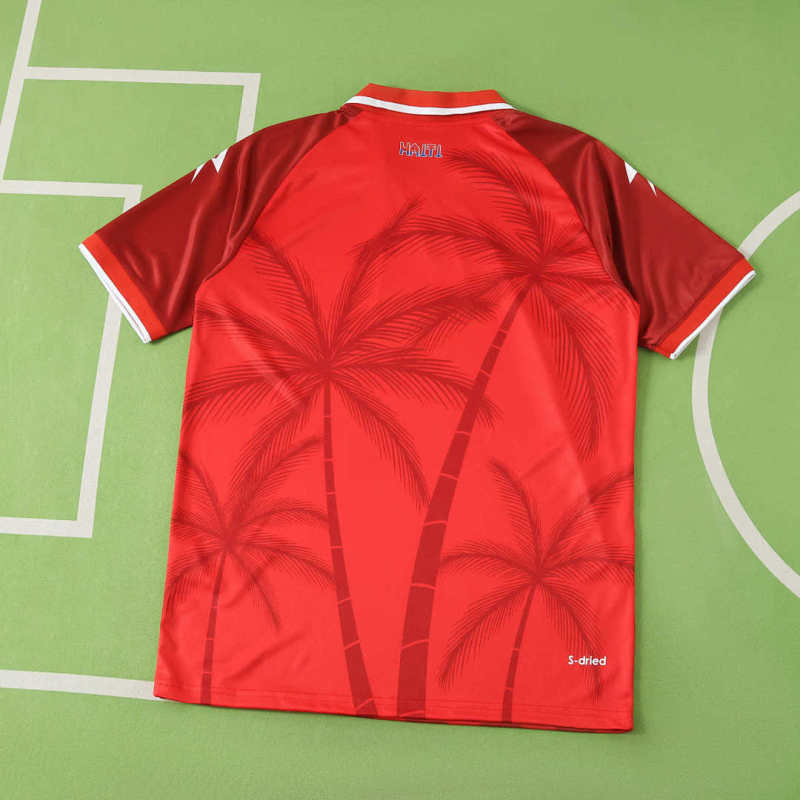 2026 FIFA World Cup Haiti away Fan version