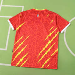 2026 FIFA World Cup Congo third Fan version